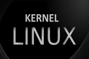 کرنل لینوکس