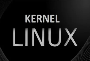 کرنل لینوکس